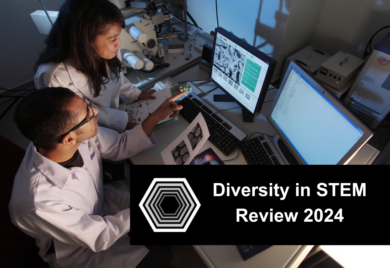 Diversity in STEM review updates